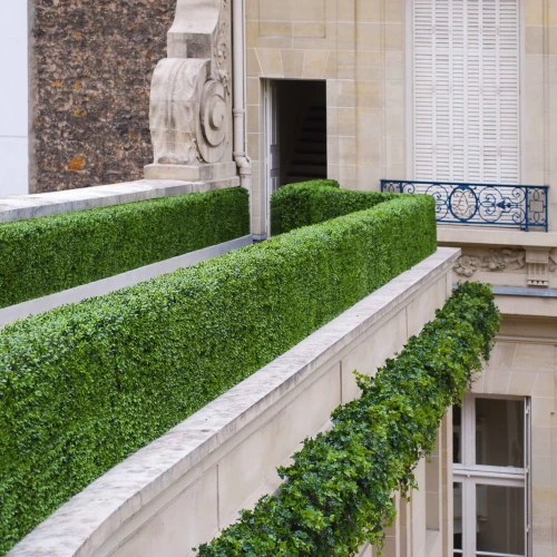 Haies et topiaires sur un bâtiment