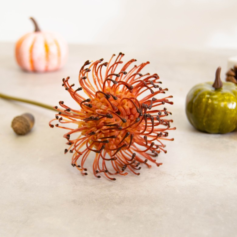 an artificial protea pincushion flower