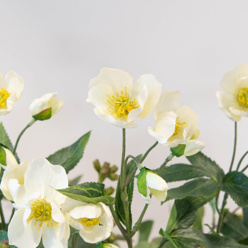 artificial white helleborus