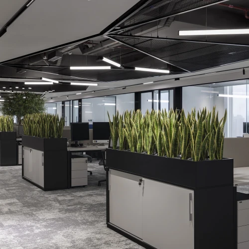 Plante artificielle sur table blanche