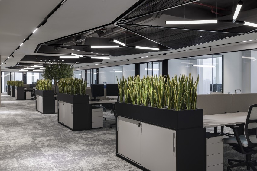 plantes artificielles dans les bureaux