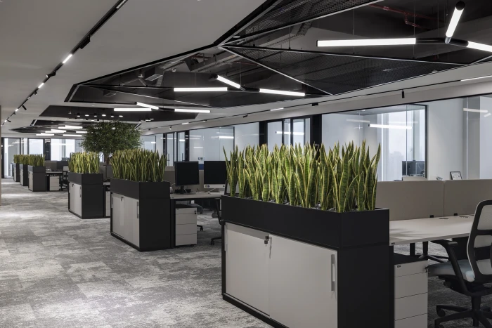 Bureau moderne en open space équipé de bureaux, d'ordinateurs et de cloisons ornées de sansevières en pot, considérées comme l'une des meilleures plantes pour un bureau. L'espace est doté d'une moquette grise, d'armoires blanches et de grandes fenêtres, ce qui lui confère un aspect lumineux et épuré.