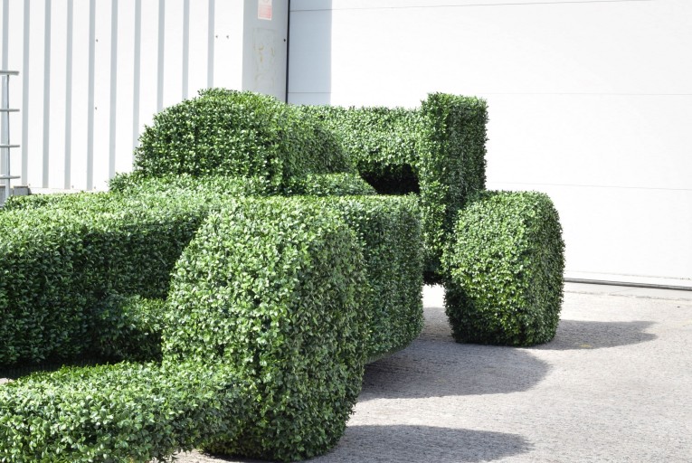 shaped polystyrene F1 car