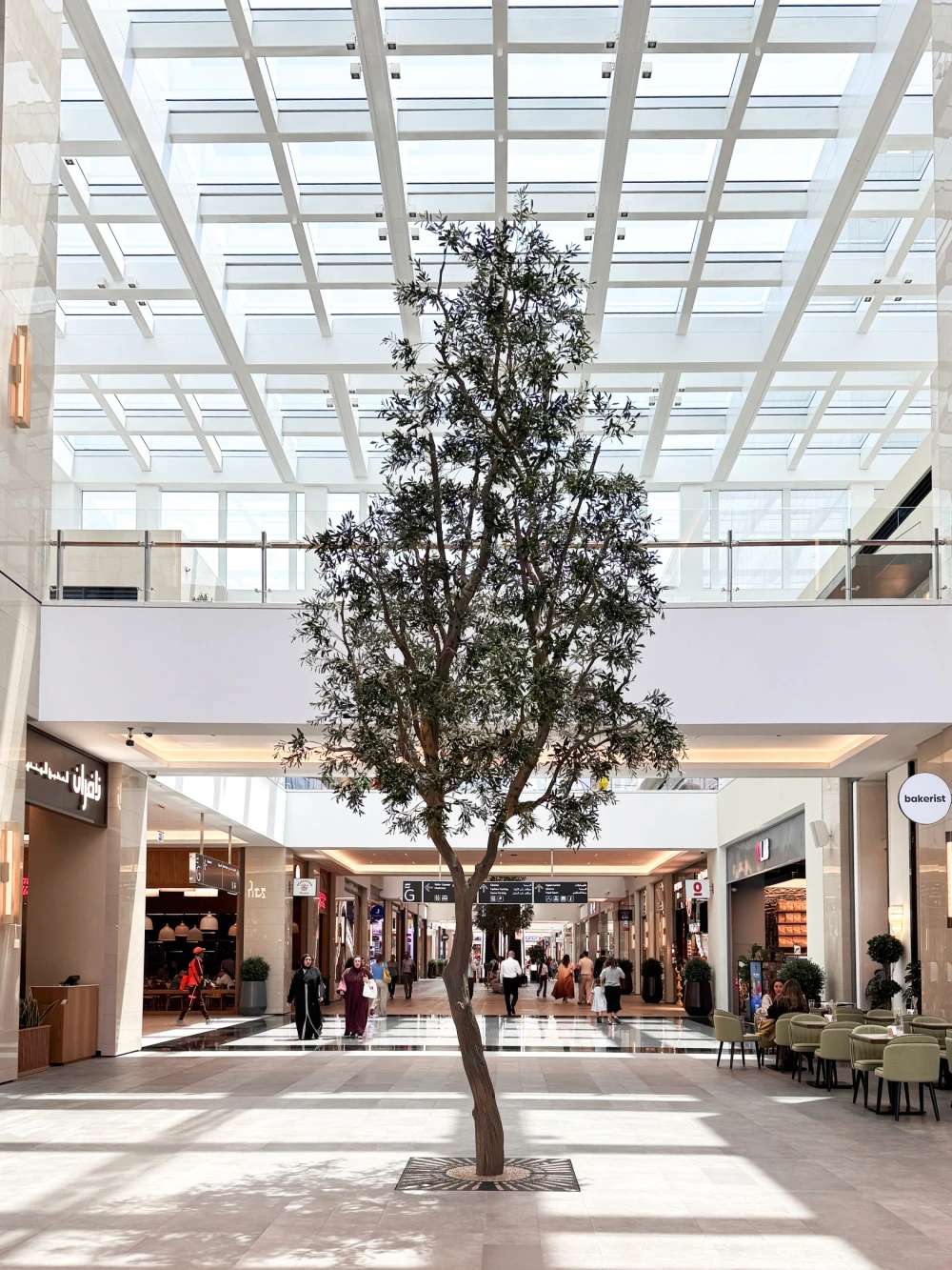 olive tree installed in Dubai Hills Mall