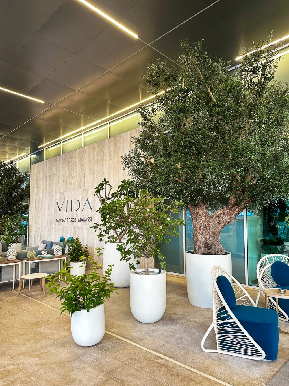 artificial olive tree installed in Vida Marina Hotel