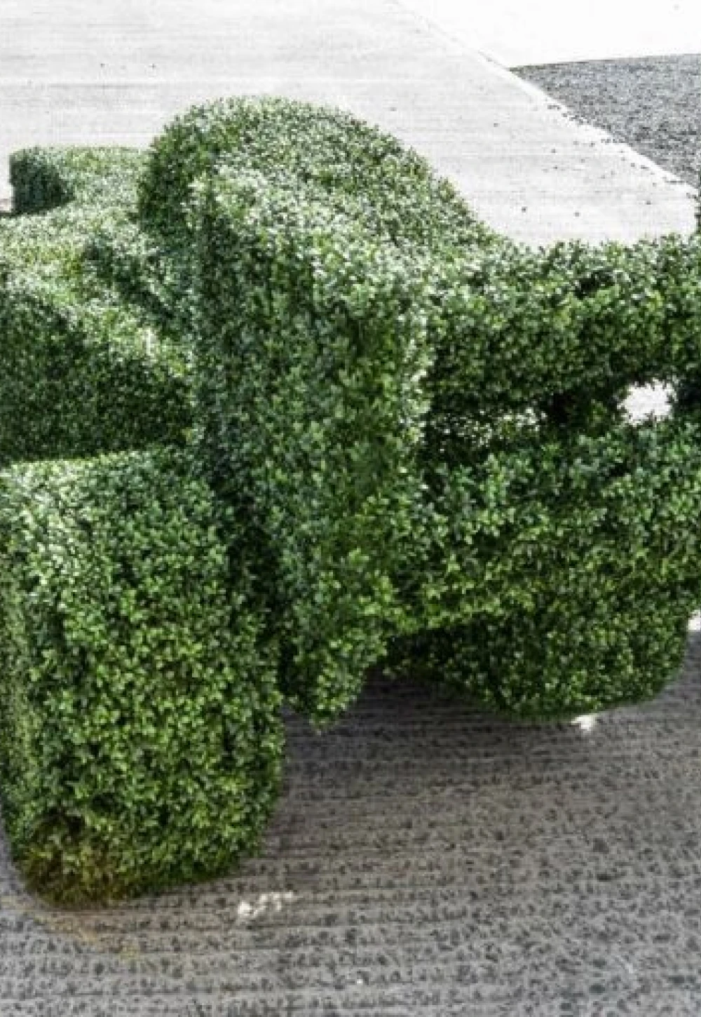 ploystyrene topiary car