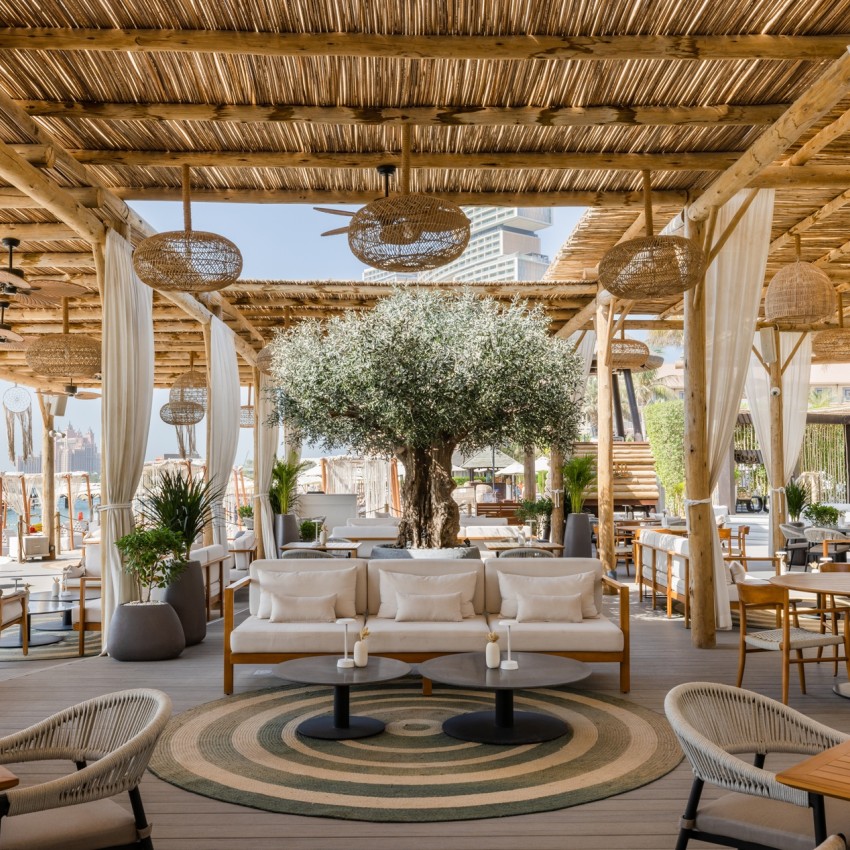 An olive tree installed at Laguna Beach Bar Dubai