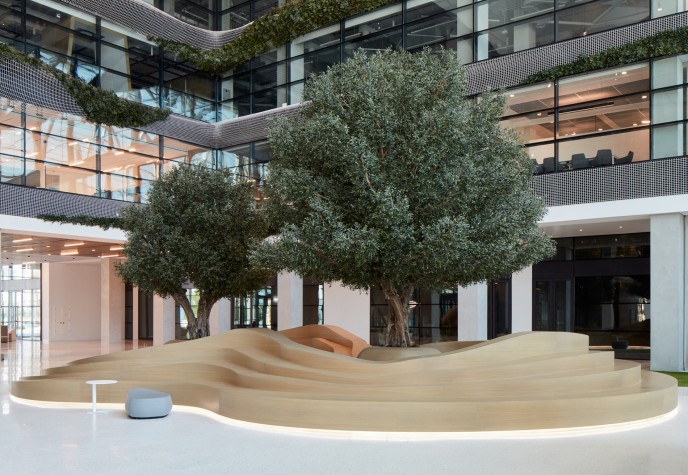 Des oliviers artificiels installés au parc SRTI, à Sharjah